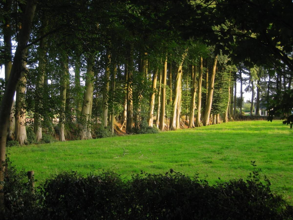 Chateau De Cleuville Bagian luar foto